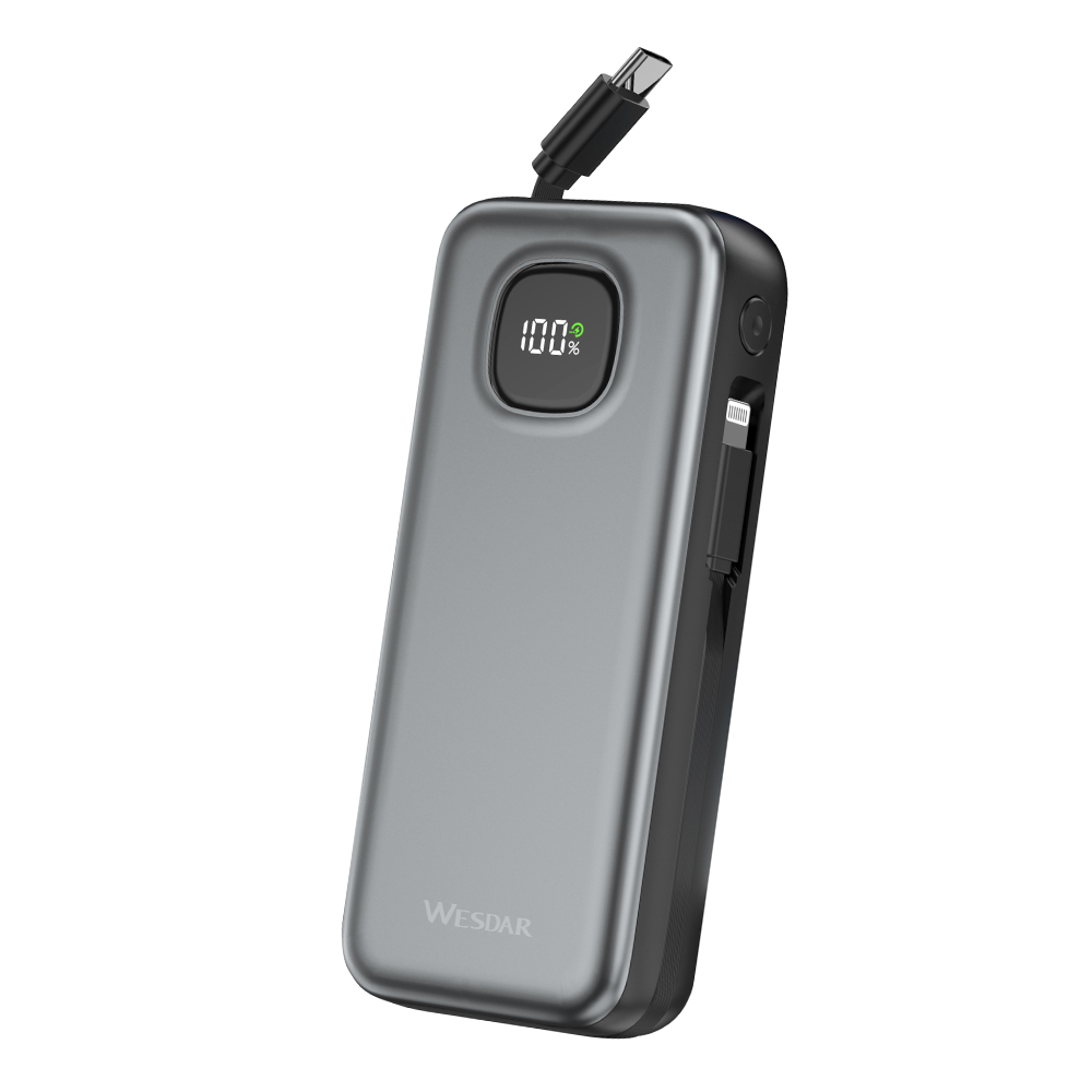 WESDAR Li-Polymer Battery Digital Screen Mobile Phone Power Bank 10000mAh